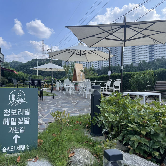포천 신북면일대 최고의 베이커리 카페, 숲속의제빵소!