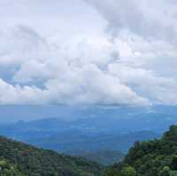 คาเฟ่บนดอย Jungle View Coffee