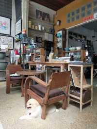 Homely