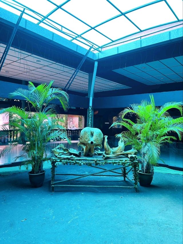 Save the Elephants at Kuala Gandah National Elephant Conservation Centre