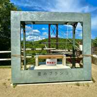 府民の森の中にある吊り橋
