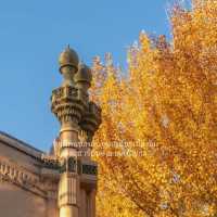 Harbin in Autumn 🍂 
