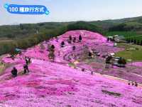 日本北海道-宛如粉紅色地毯的芝櫻花海：東藻琴 芝櫻公園