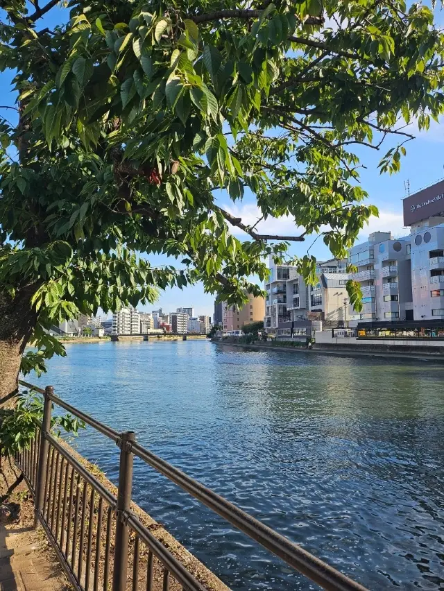 福岡的象徵—那珂川