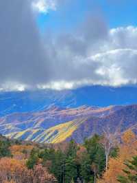 【群馬】超穴場紅葉スポット!!奇跡の絶景を楽しもう🧡