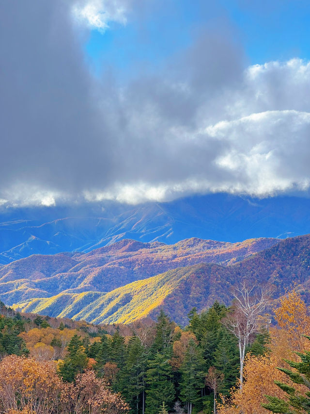 【群馬】超穴場紅葉スポット!!奇跡の絶景を楽しもう🧡
