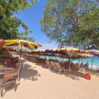 Monkey Beach หาดลิงเกาะล้าน