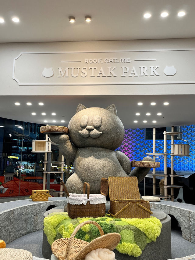 명동 😻🎶고양이 카페, 루프캣미