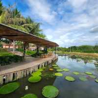 Chapter 2 คาเฟ่หัวหิน