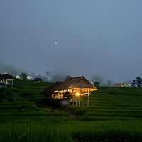 นาขั้นบันได ป่าบงเปียง - เชียงใหม่