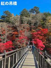 【秋の魅力が存分に楽しめる🍂那須旅💐】