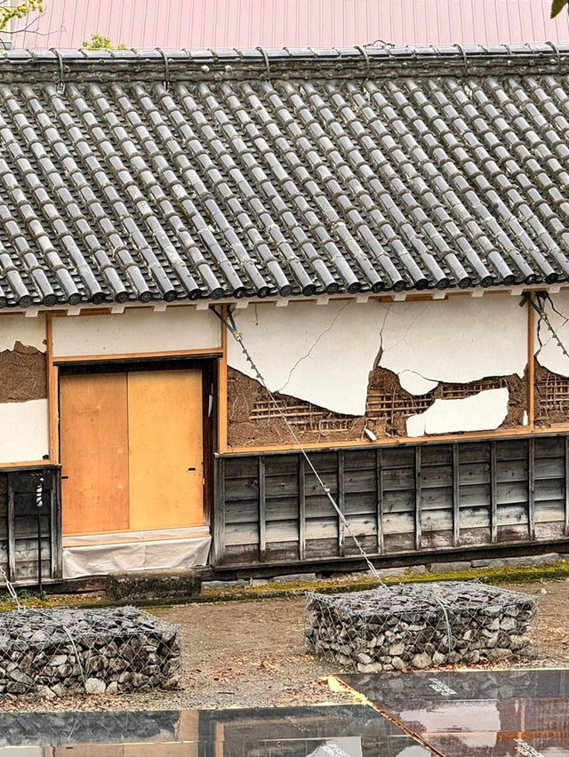 熊本自遊行😬必到行程之選😍熊本城🫡