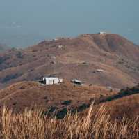 大東山 日落芒草聖地