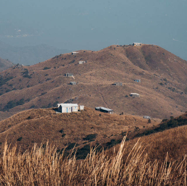 大東山 日落芒草聖地
