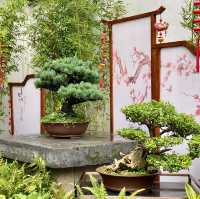 Yu garden - ancient beauty