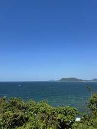 【福岡/糸島】トトロの森🌳