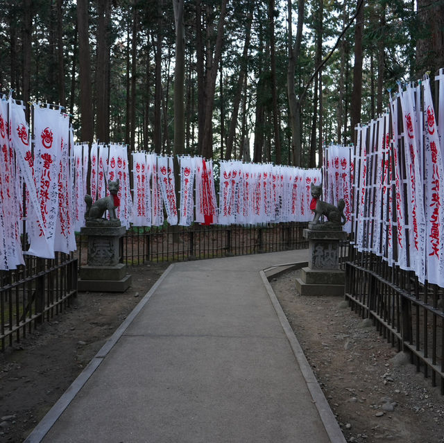 【愛知/豊川】ちょっと怖いけど神秘的。豊川稲荷