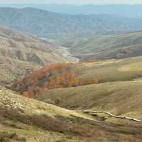 哈達門高原牧場：秋色宜人的自然天堂 🍂🐑