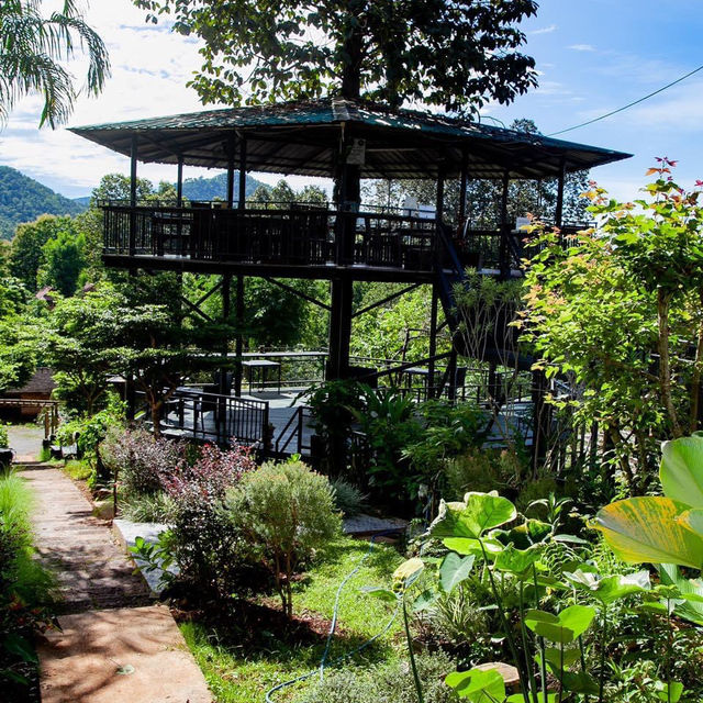 The Nest at Samoeng doinok resort