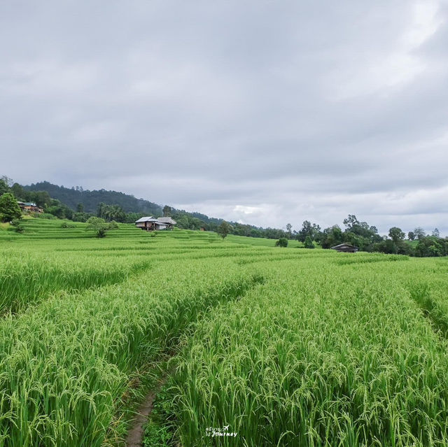 พาใจไปพัก@ป่าบงเปียง 💚