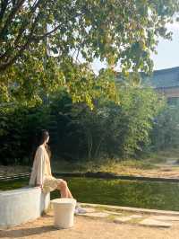 한옥과 소나무의 조화가 예쁜 경주카페🌳