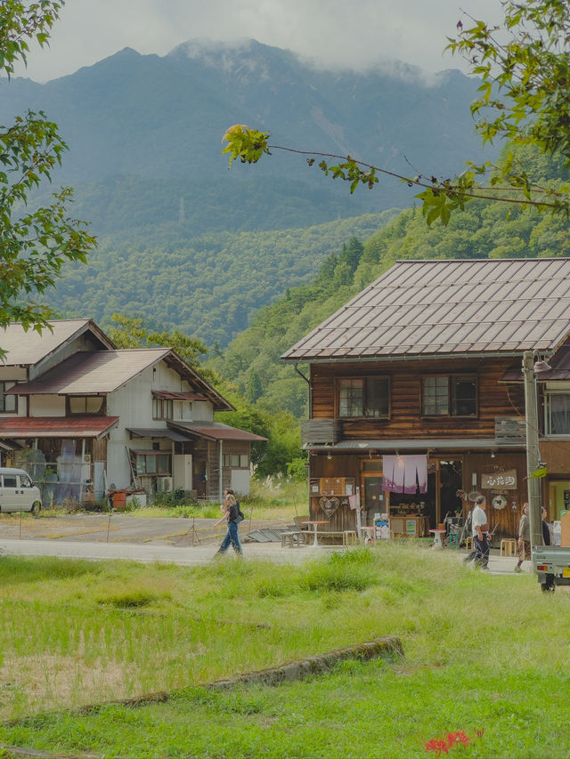 동화 같은 일본 마을, 시라카와고🌿