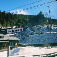 遊走在人文氣息裡，踏著雪白的路