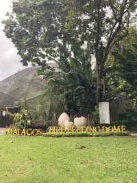 Malagos Birdfeeding Dome 🦜 