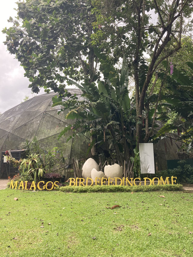 Malagos Birdfeeding Dome 🦜 