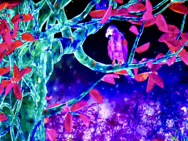福岡TeamLab 森林-以森林為主題的沉浸式藝術展覧