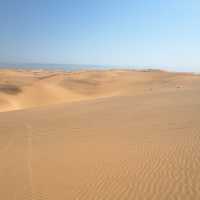 Dunes Of Africa 