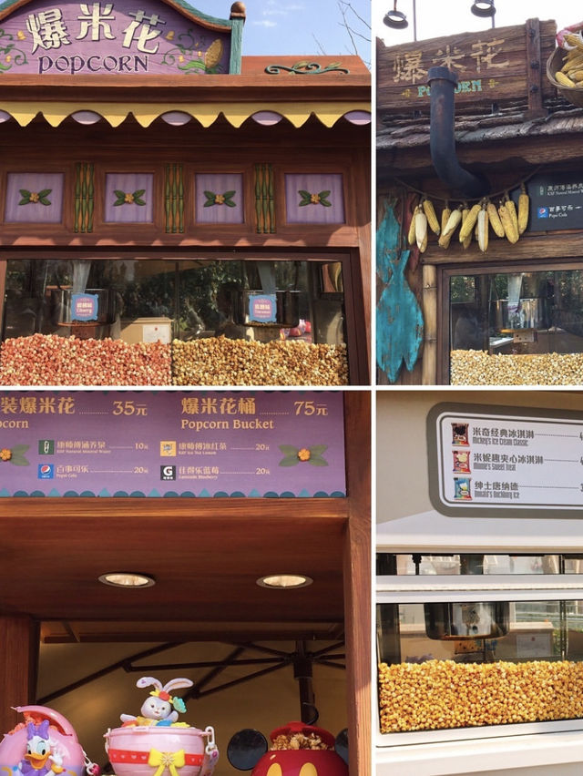 【上海ディズニーランド】満喫するためにぜひ読んでほしいポイント✨