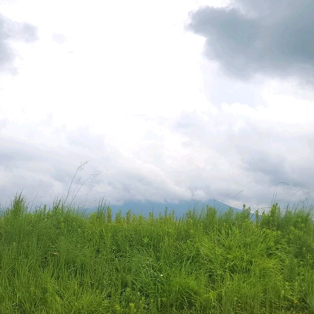 鳥取大山腳下的植田正治寫真美術館