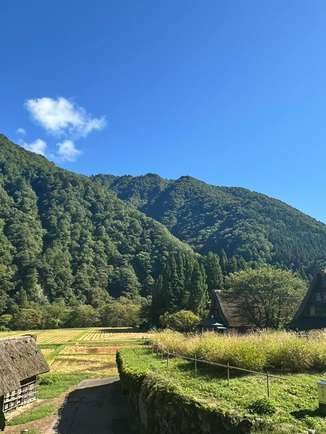 日本🇯🇵世界遺產之一五䓢山合掌村‼️浪漫💕鄉村