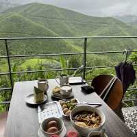 Afternoon tea at a tea plantation 