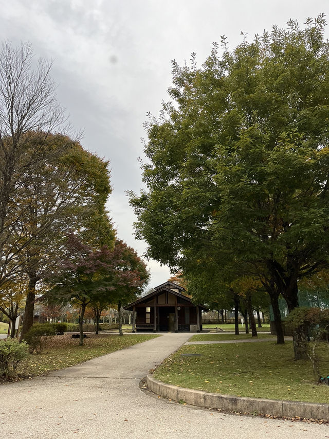 【軽井沢】遊具もターザンロープもある！紅葉が綺麗な緑地公園🍁