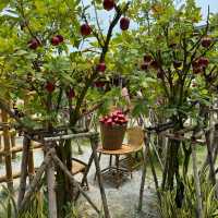 Snap-Worthy Scenery: Exploring the Beauty of Paina Nara!