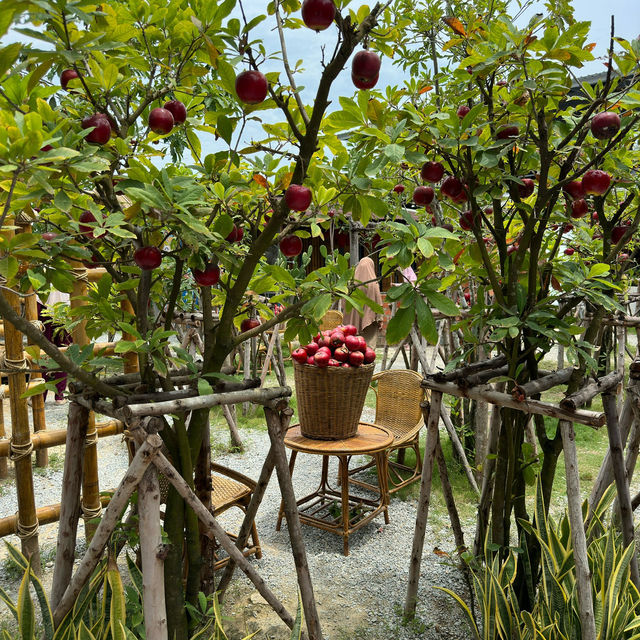 Snap-Worthy Scenery: Exploring the Beauty of Paina Nara!