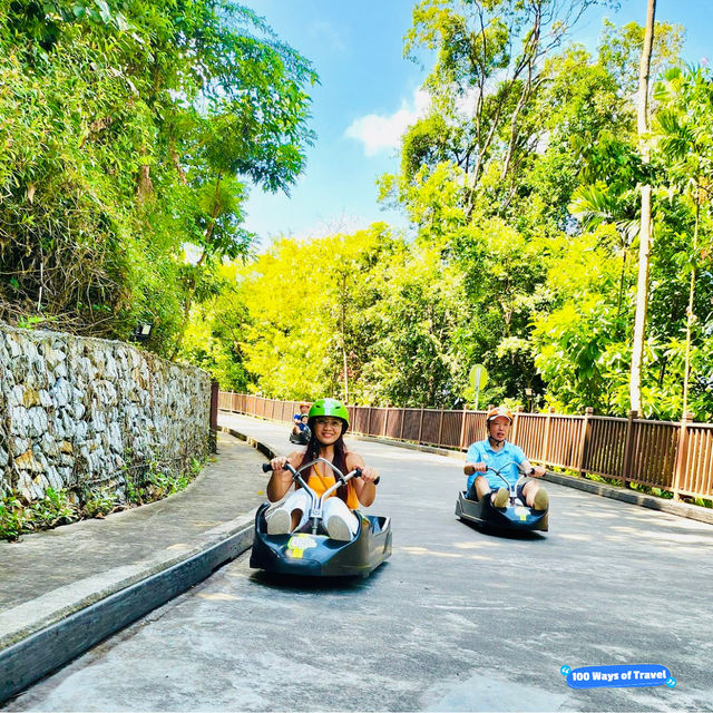 Thrill Seeker's Paradise: Skyline Luge Singapore