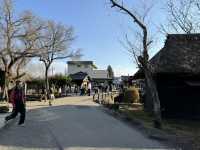 หมู่บ้านน้ำใส (Oshino Hakkai) 🇯🇵