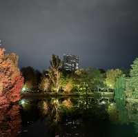 札幌🇯🇵中島公園的日與夜🍁