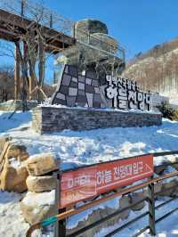 새하얀 눈꽃밭을 맘껏 즐길수 있는 태백눈꽃축제❄️