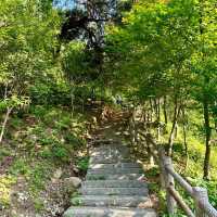 五桂山：青山綠水🌄🌿