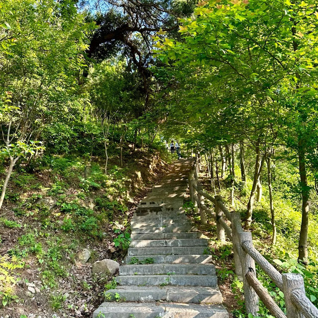 五桂山：青山綠水🌄🌿