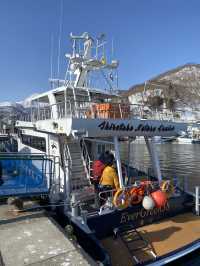 【北海道】オオワシとオジロワシと羅臼の流氷