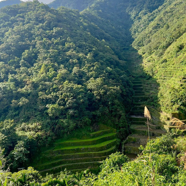 Batad Rice Terraces, Banaue