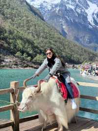 ตะลุยภูเขาหิมะมังกรหยก (Jade Dragon Snow Mountin)