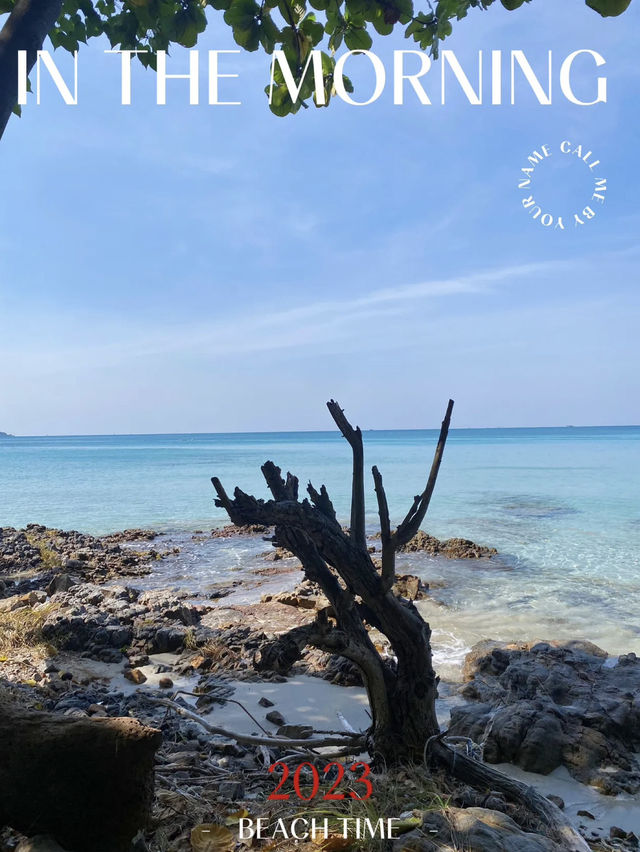 ‘หาดน้ำใส’ ที่ลับๆชลบุรี ดูกี่ทีก็นึกว่าทะเลใต้! 🌊