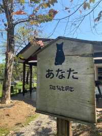 ⭐ Anata garden chill