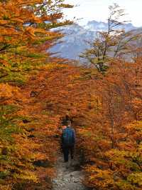 วิวระหว่างทาง Patagonia 